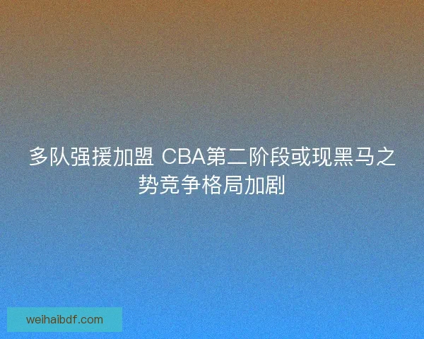 多队强援加盟 CBA第二阶段或现黑马之势竞争格局加剧