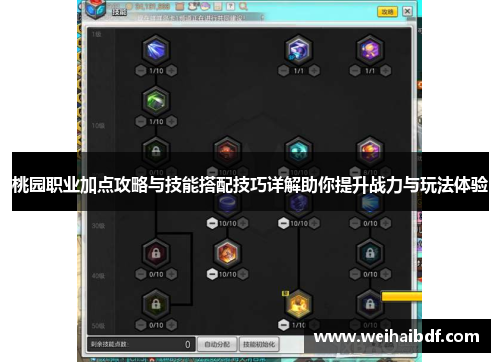 桃园职业加点攻略与技能搭配技巧详解助你提升战力与玩法体验