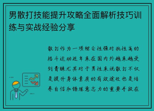 男散打技能提升攻略全面解析技巧训练与实战经验分享